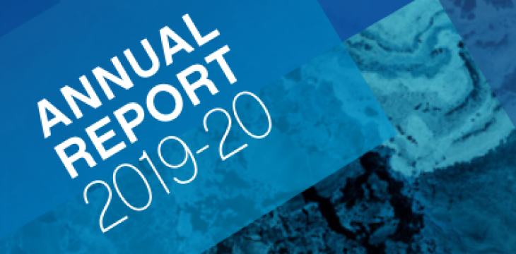 FE Annual Report 2019-2020