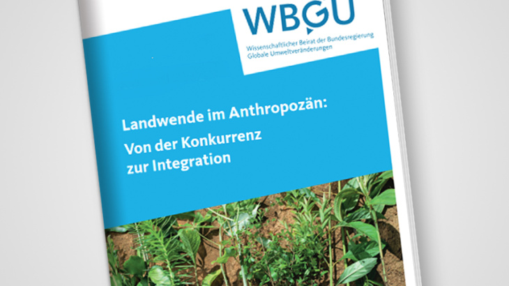 Coverphoto WBGU Report Landuse..Different seedlings with roots.