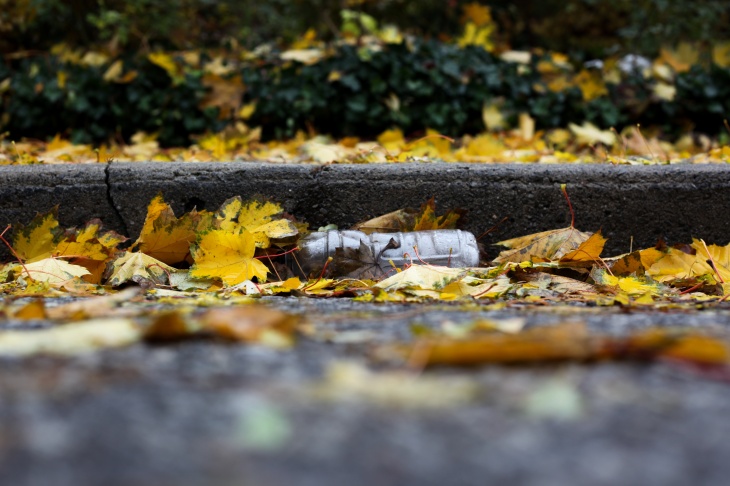 Plastic bottle on the sidewalk between autumn leaves.