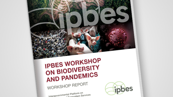 Cover photo IPBES Pandemics Report.The four images on the brochure show a landscape, a crowd, several piglets and a symbolic image of a virus.